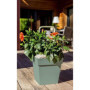 EDA Pot de Fleur Carré TOSCANE 39 cm - 38 L - 39 x 39 x H 39 cm - Vert l 108,99 €