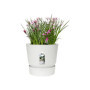 ELHO Pot de fleurs rond Greenville 25 - Extérieur - Ø 24.48 x H 23.31 cm 47,99 €