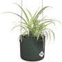 Pot De Fleurs Rond B.FOR - Plastique - Ø18 - Leaf Green 32,99 €