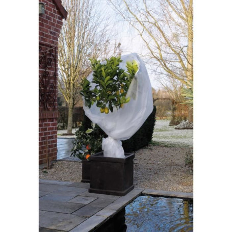 Nature Couverture en polaire d'hiver 30 g/m² Blanc 2x10 m 27,99 €
