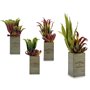 Plante décorative Flowers Garden Marron Vert 10 x 50 x 10 cm (4 Unités) 150,99 €