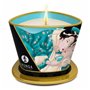 Bougie de massage Shunga Island's Flower (170 ml) 25,99 €