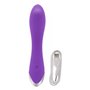 Vibromasseur S Pleasures Lila 44,99 €