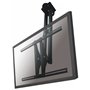 Support de TV Neomounts PLASMA-C100BLACK 37"-75" 50 kg 75" 37" 399,99 €