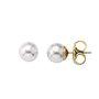 Boucles d´oreilles Femme Majorica 00328.01.1.000.701.1 99,99 €
