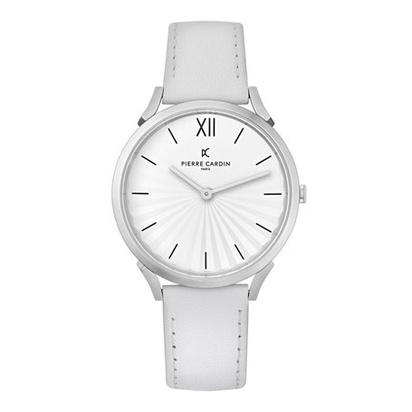 Montre Unisexe Pierre Cardin CPI-2001 99,99 €