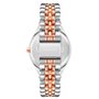 Montre Femme Nine West NW_2661SVRT 78,99 €