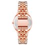 Montre Femme Nine West NW_2660SVRG 78,99 €