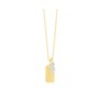 Collier Femme Secrecy P7165CDAWWC93 119,99 €