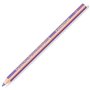 Crayons de couleur Staedtler Jumbo Noris Violet (12 Unités) 27,99 €