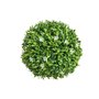 Plante décorative  Ballon Fleur d'oranger 20 x 20 x 20 cm 36,99 €