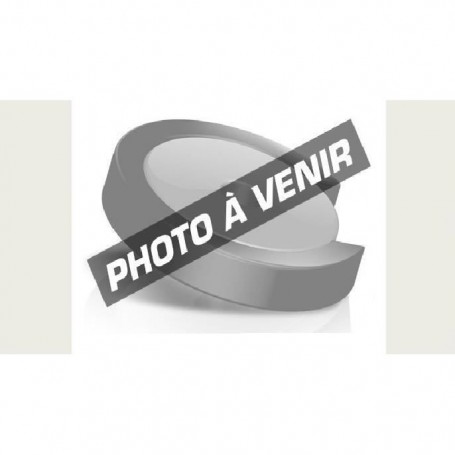 Canon Cartouche d'encre bleue photo CLI-581PB