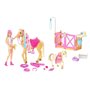 Poupée Mannequin - Barbie - HGB58 - Coffret Toilettage des Chevaux Bar