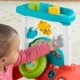 Tricycle Fisher Price Evolutionary Activity