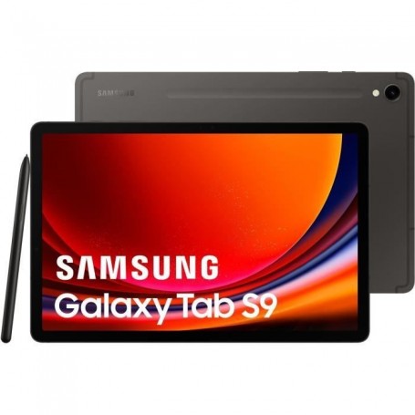 Samsung Galaxy Tab S9 SM-X710N 256 Go 27,9 cm (11") Qualcomm Snapdragon 12 Go Wi-Fi 6 (802.11ax) Android 13 Graphite"