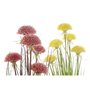 Plante décorative DKD Home Decor 30 x 30 x 78 cm Rose Métal Jaune PVC 