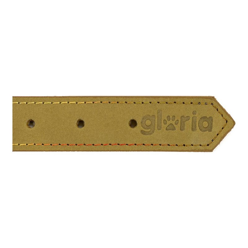 Image secondaire de Collier pour Chien Gloria Oasis Vert (55 x 2,5 cm)