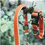 Collier pour Chien Hunter Basic Fil Orange Taille M (33-50 cm)