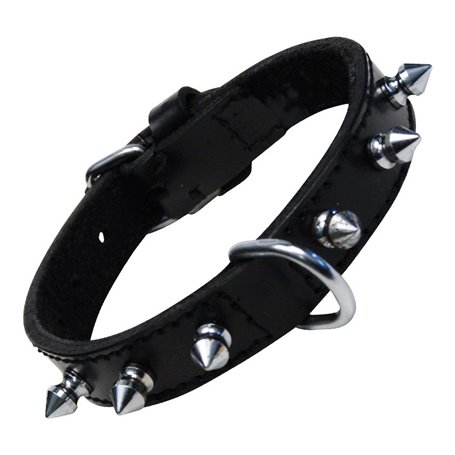 Collier pour Chien Gloria Noir Clous (50 cm)