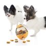 Jouet Distributeur de Friandises pour Animaux2 en 1 Petyt InnovaGoods