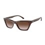 Lunettes de soleil Femme Armani EA 4169