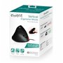 Souris Optique Ergonomique Ewent EW3156 1000 dpi USB Noir Rouge/Noir