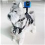 Harnais pour Animaux Domestiques avec Support pour Caméra de Pport KSI