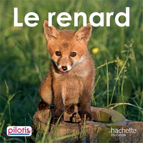 Lecture CP - Collection Pilotis - Le Renard - Album - Edition 2019