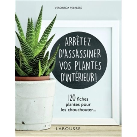 Arrêtez d'assassiner vos plantes d'intérieur