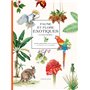 Faune et flore exotiques à colorier