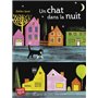 Un chat dans la nuit