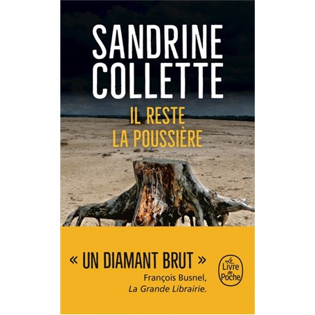 Il reste la poussière