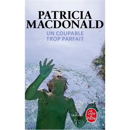 Un coupable trop parfait