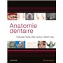 Anatomie dentaire
