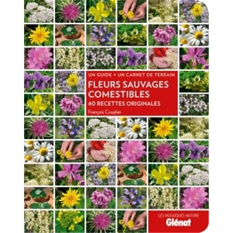 Fleurs sauvages comestibles