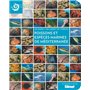 Poissons et espèces marines de Méditerranée