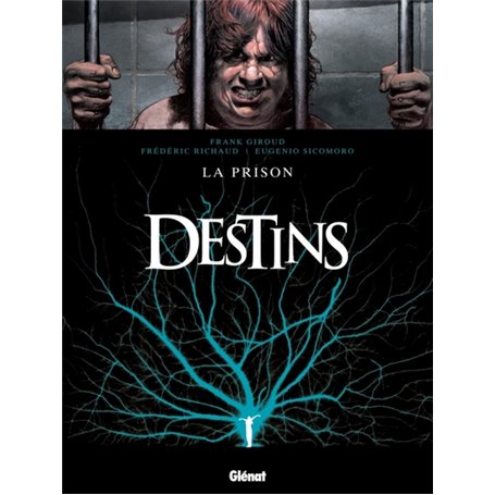 Destins - Tome 12