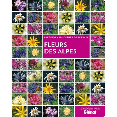 Fleurs des Alpes
