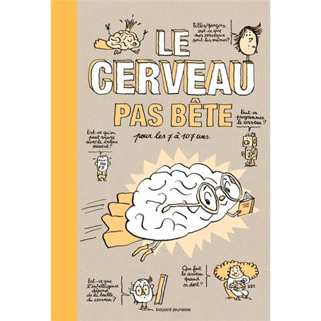 Le cerveau pas bête