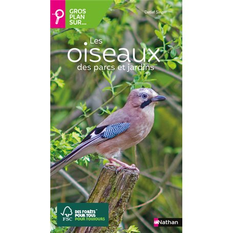 Gros plan sur les oiseaux des parcs et jardins