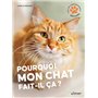 Pourquoi mon chat fait-il ça?