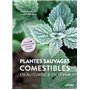 Plantes sauvages comestibles en automne et en hiver
