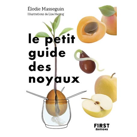 Le Petit Guide des noyaux