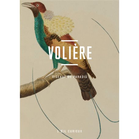 Volière - Oiseaux de paradis