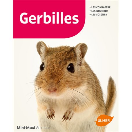 Gerbilles