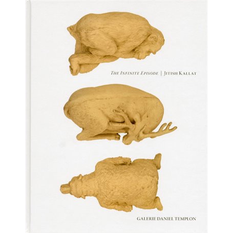 The Infinite Episode - Jitish KALLAT -Français/Anglais-