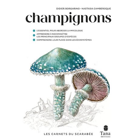Les carnets du scarabée - Champignons