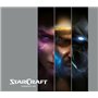 Starcraft : Cinematic Art