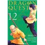 Dragon Quest - Les Héritiers de l'Emblème T12