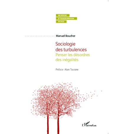 Sociologie des turbulences